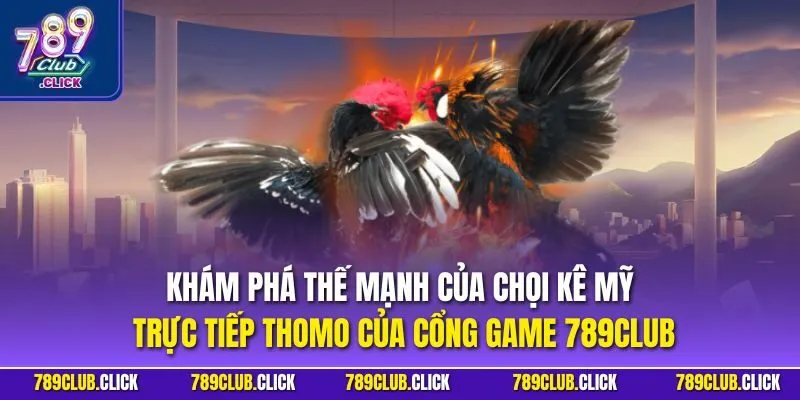 Khám phá thế mạnh của chọi kê Mỹ trực tiếp thomo của cổng game 789CLUB
